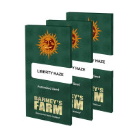 Barneys Farm - Liberty Haze (5 Samen pro Packung)