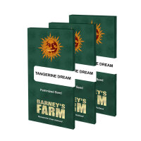 Barneys Farm - Tangerine Dream (5 Samen pro Packung)