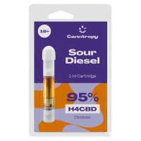 Canntropy Sour Diesel 95% H4CBD